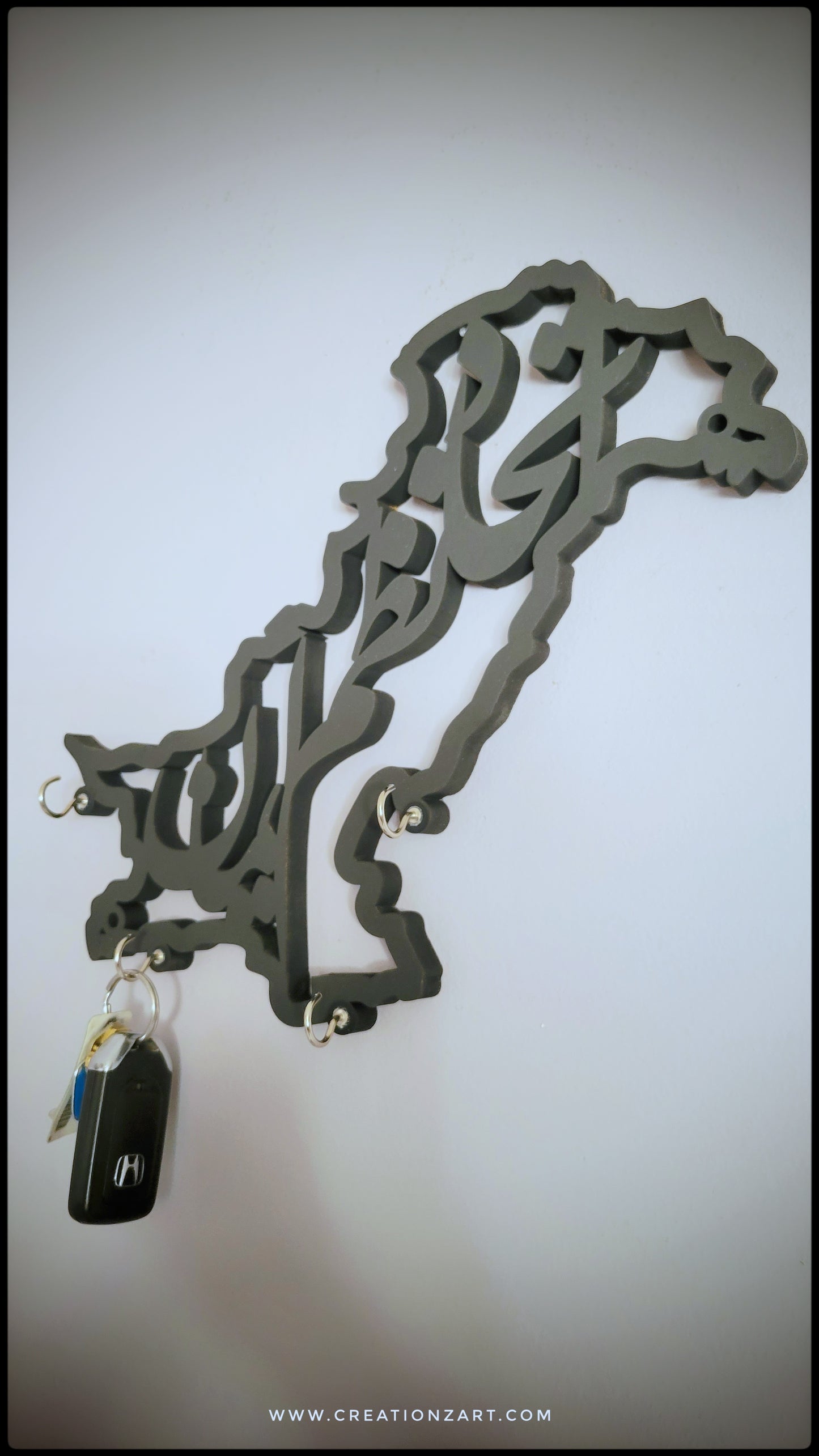 Pakistan Map Design Key holder