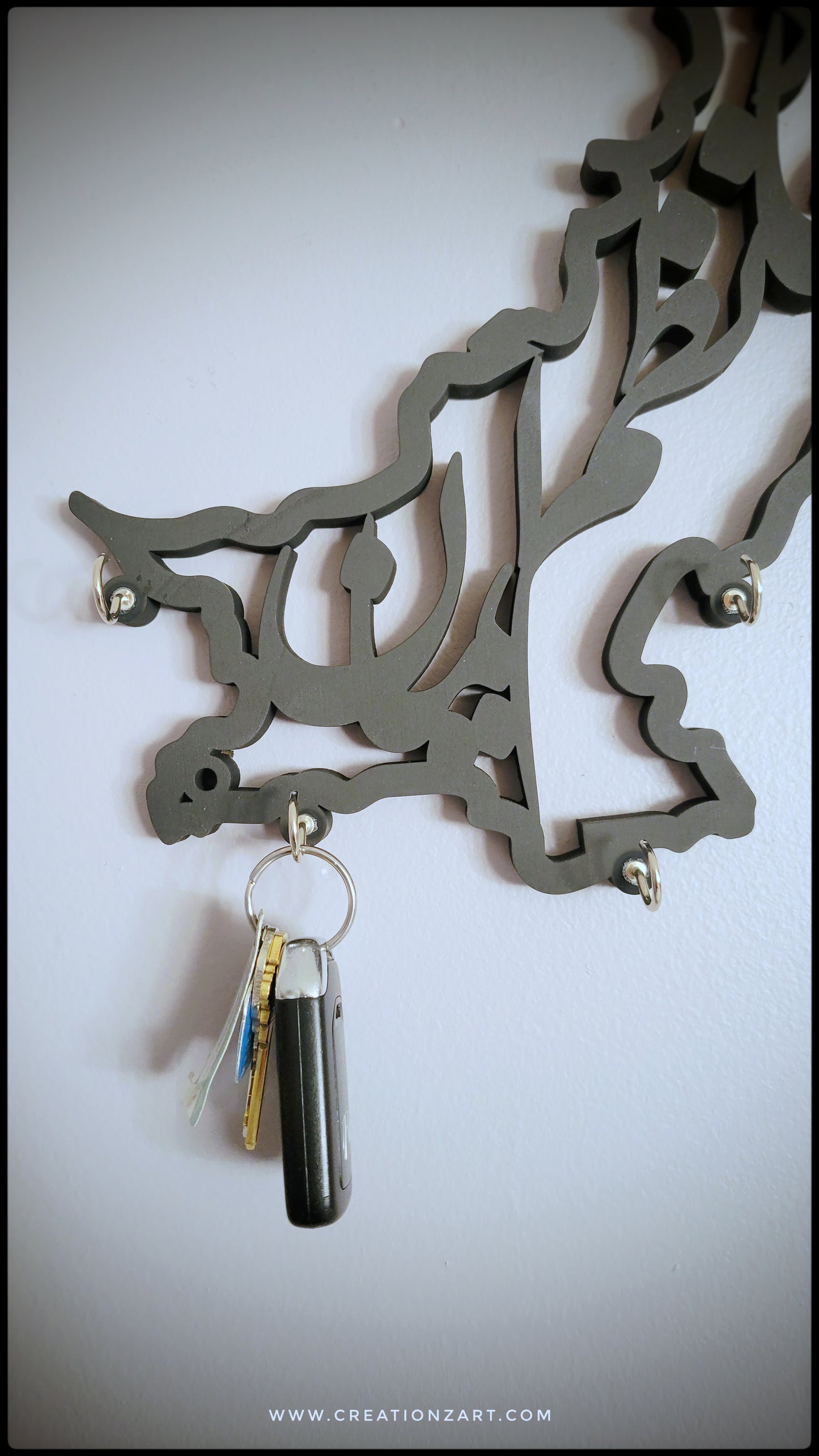 Pakistan Map Design Key holder
