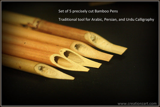 Set of 5 Bamboo Calligraphy pens